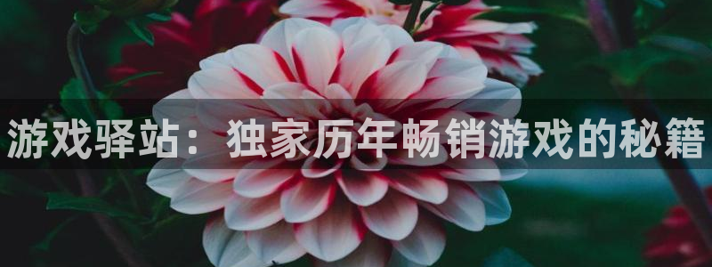 优贝娱乐手机网页版登录：游戏驿站：独家历年畅销游戏的秘籍