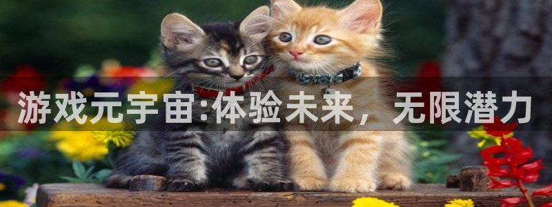 优贝娱乐平台登录线路：游戏元宇宙:体验未来，无限潜力