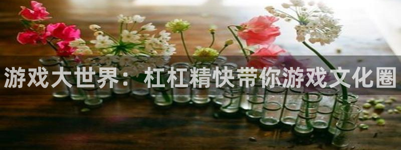 优贝娱乐代理登陆：游戏大世界：杠杠精快带你游戏文化圈