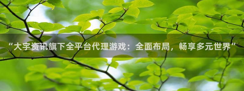 优贝娱乐官网登录：“大宇资讯旗下全平台代理游戏：全面布局，畅