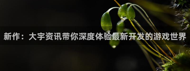 优贝娱乐网页登录入口下载：新作：大宇资讯带你深度体验最新开发