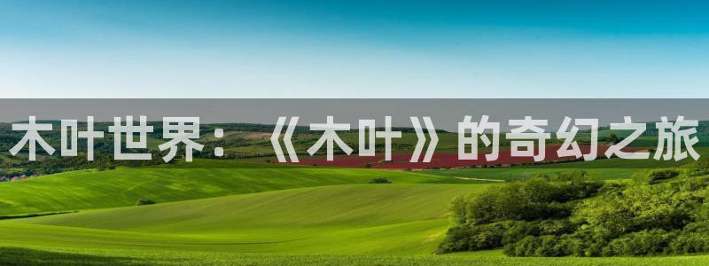优贝娱乐注册官方登录app：木叶世界：《木叶》的奇幻之旅