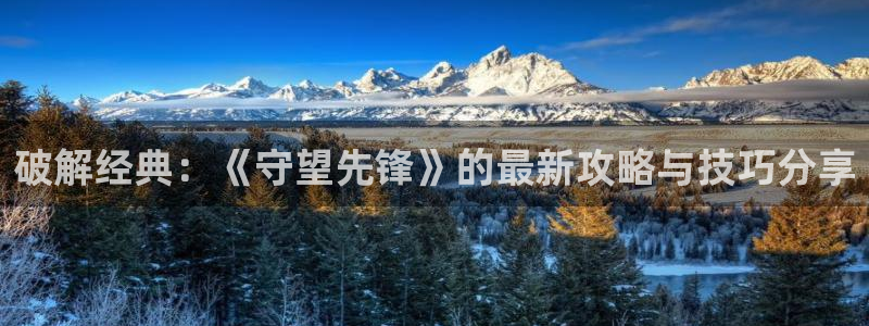 优贝娱乐平台登陆：破解经典：《守望先锋》的最新攻略与技巧分享