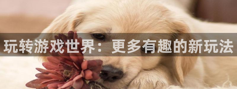 优贝娱乐登录网址:玩转游戏世界:更多有趣的新玩法