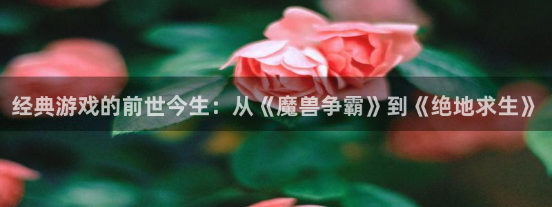 优贝娱乐app下载|下载地址：经典游戏的前世今生：从《魔兽争