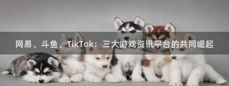 优贝娱乐注册网站：网易、斗鱼、TikTok：三大游戏资讯平台