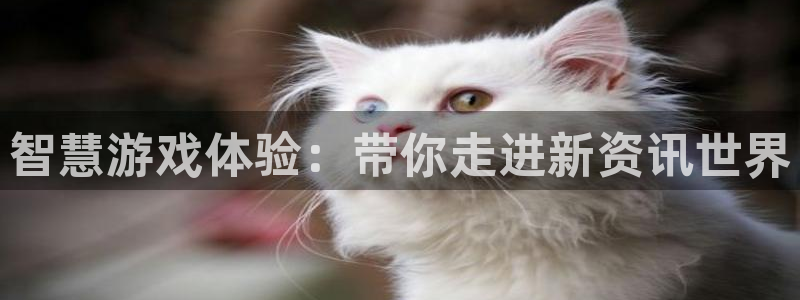 优贝娱乐app下载：智慧游戏体验：带你走进新资讯世界